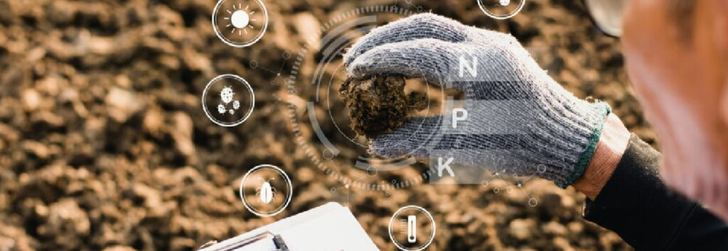 Types of Nitrogenous Fertilisers and Their Uses